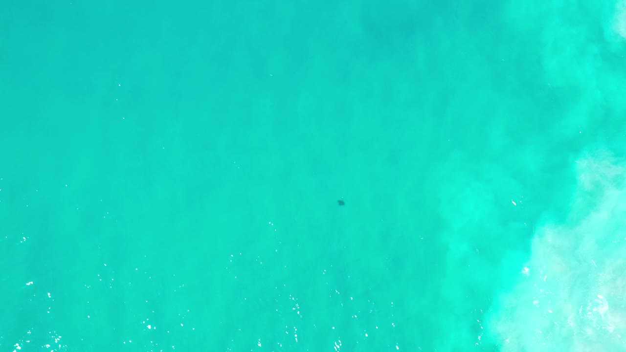 Aqua ocean water in Los Cabos fills the frame as white surf haze runs downward and a tiny dark figure sits left of center beneath the surface, no visible people.