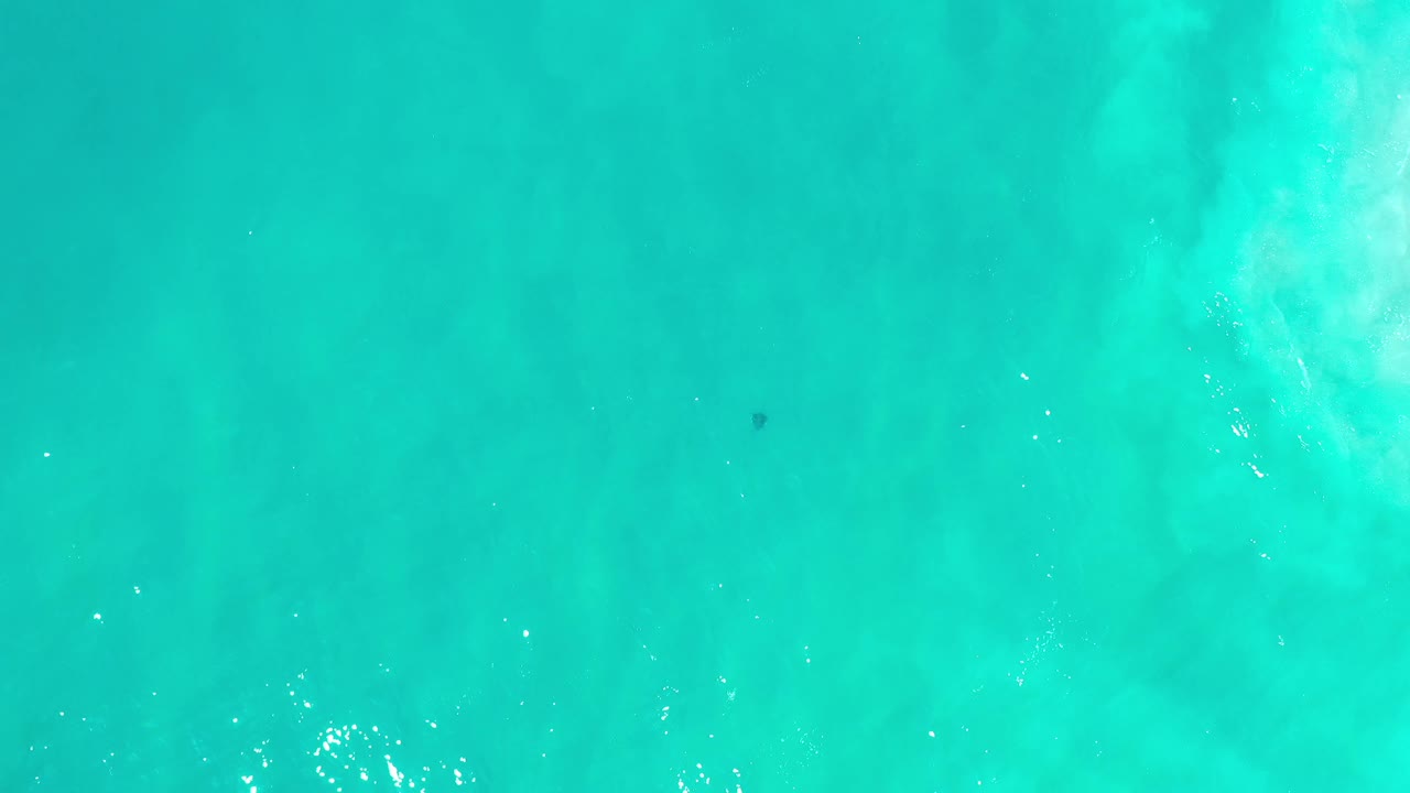 Top-down Los Cabos ocean frame with bright turquoise water, faint white surf texture, one small dark speck, and no visible people.