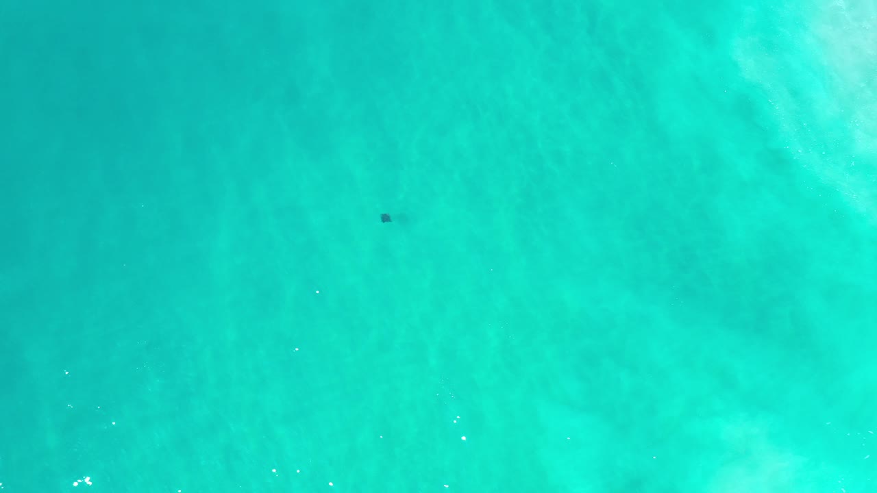 Top-down view of turquoise sea in Los Cabos, Mexico, with a tiny dark fish near the upper part of the frame and no visible people.