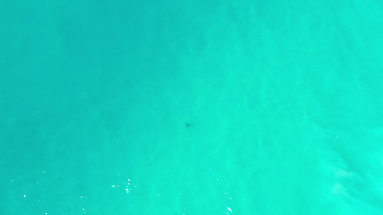 Turquoise ocean water filling the frame