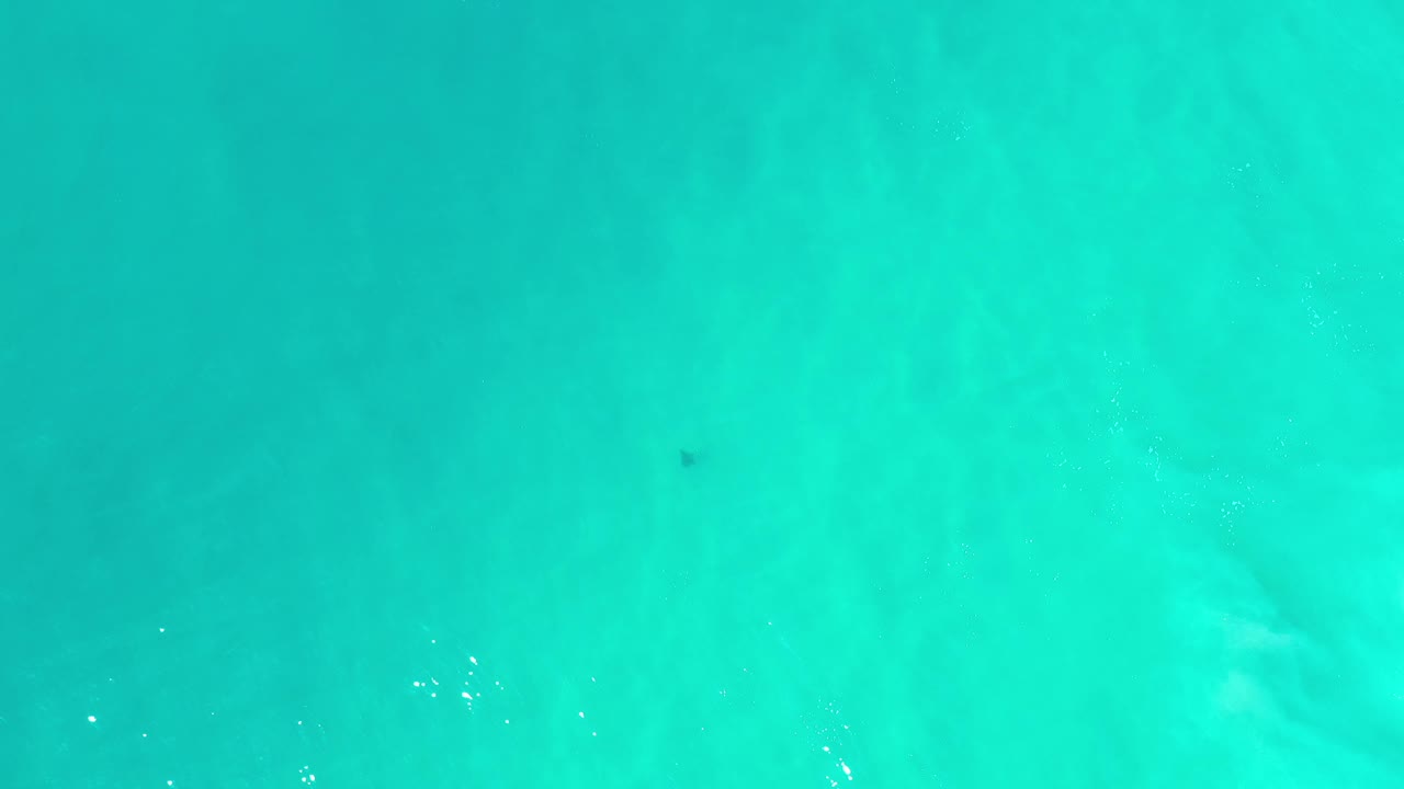 Green-blue sea surface in Los Cabos, Mexico, showing scattered white glints and soft tonal variation, with no visible people.