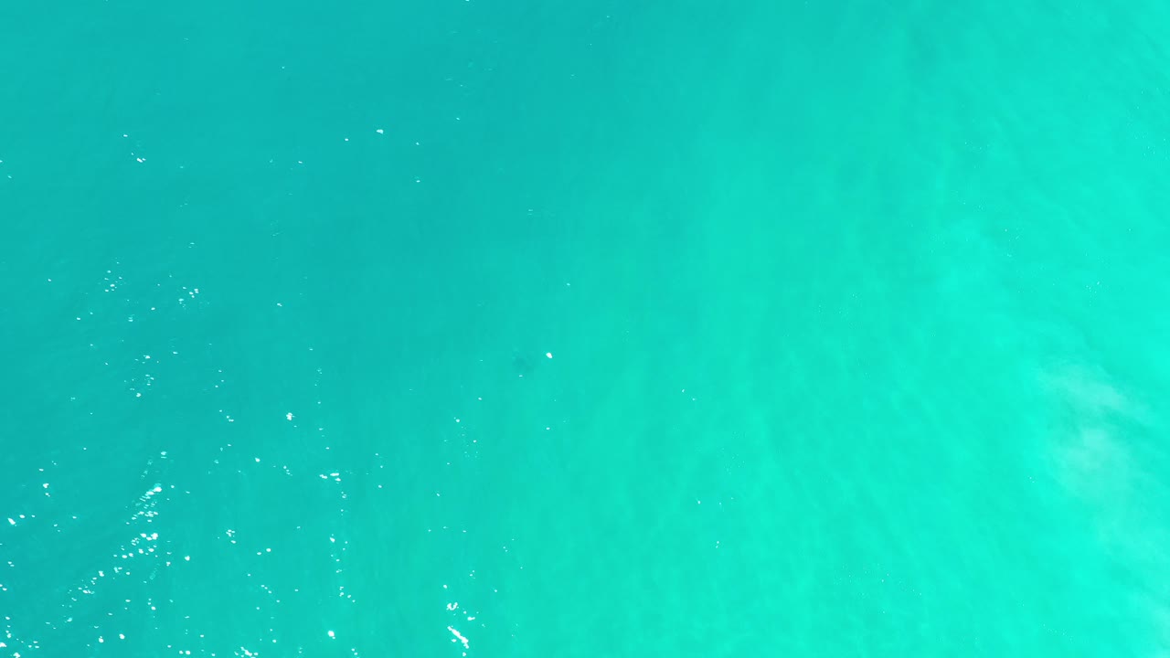 Top-down turquoise ocean water with small ripple highlights.
