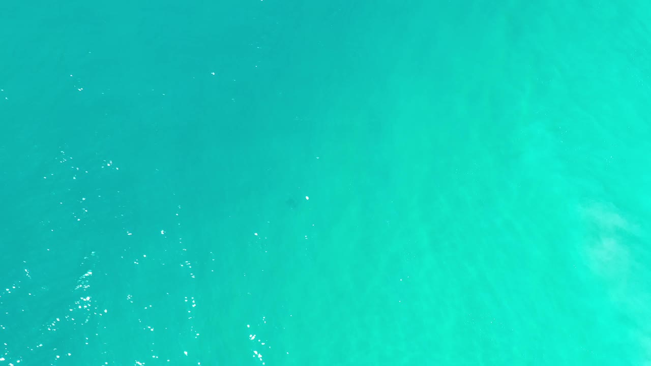 Aerial frame of green-blue Los Cabos ocean with pale submerged shapes and scattered surface sparkle, with no visible people.