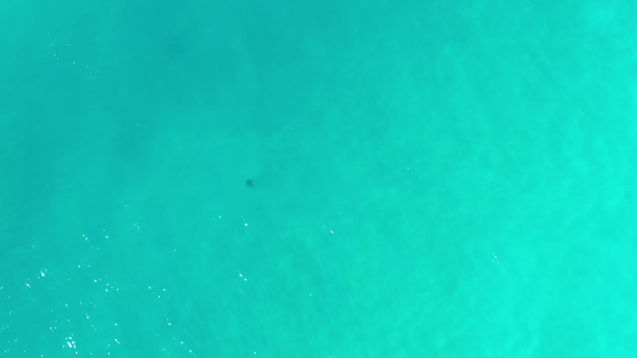 Straight-down aerial view of aqua ocean water in Los Cabos, Mexico, with subtle cloudlike color variation below the surface and no visible people.