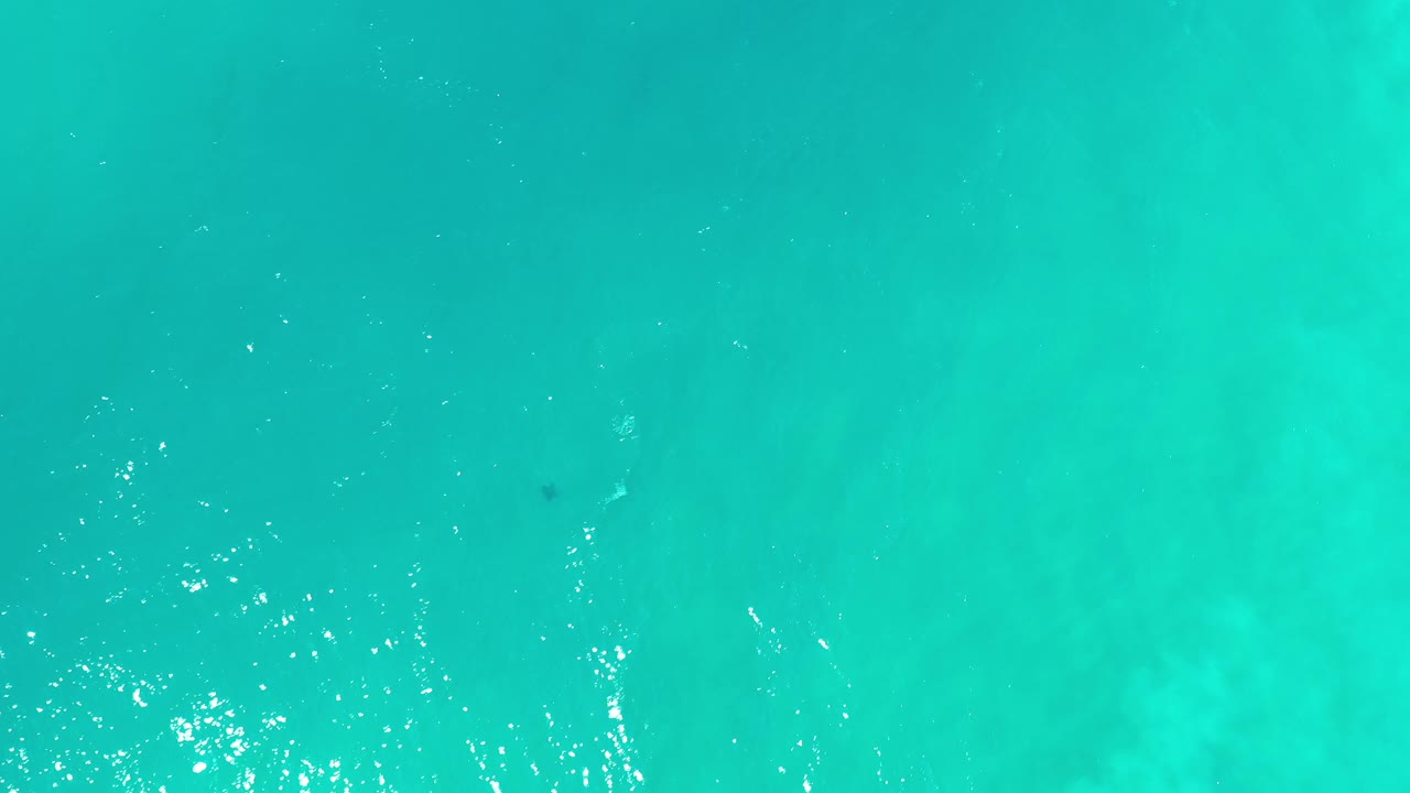 Clear aqua water with pale underwater patches.