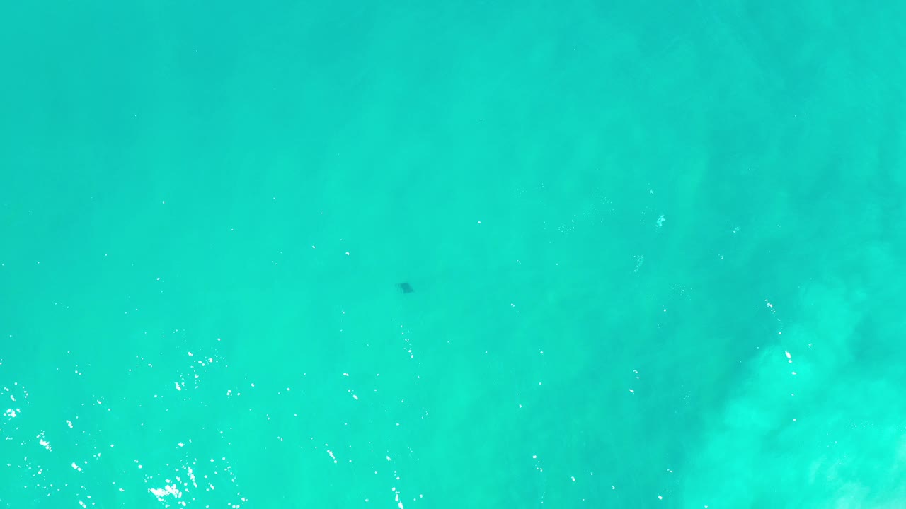 At the start of the clip, a small dark stingray sits beneath clear teal water in Los Cabos, Mexico, with faint wave texture and no visible people.