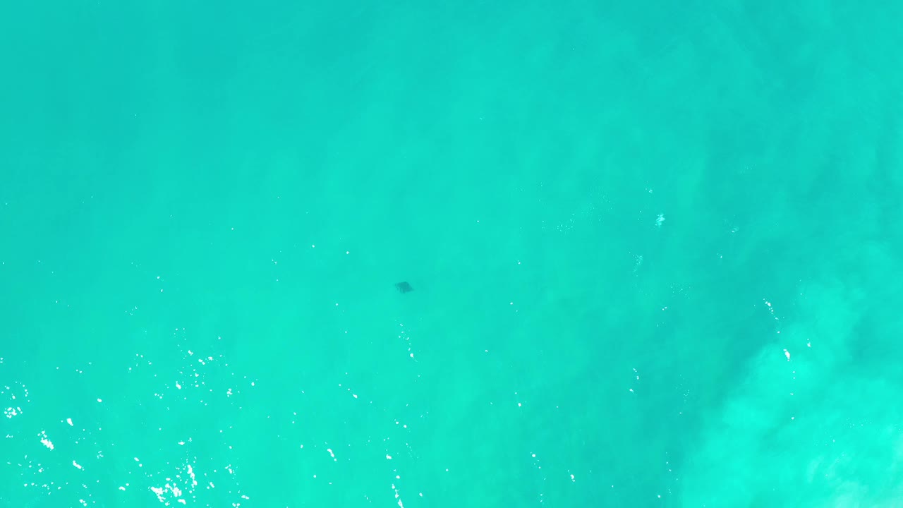 One second in, the stingray remains a small dark shape under clear blue-green Los Cabos water, with brighter ripples clustered near the lower edge and no visible people.