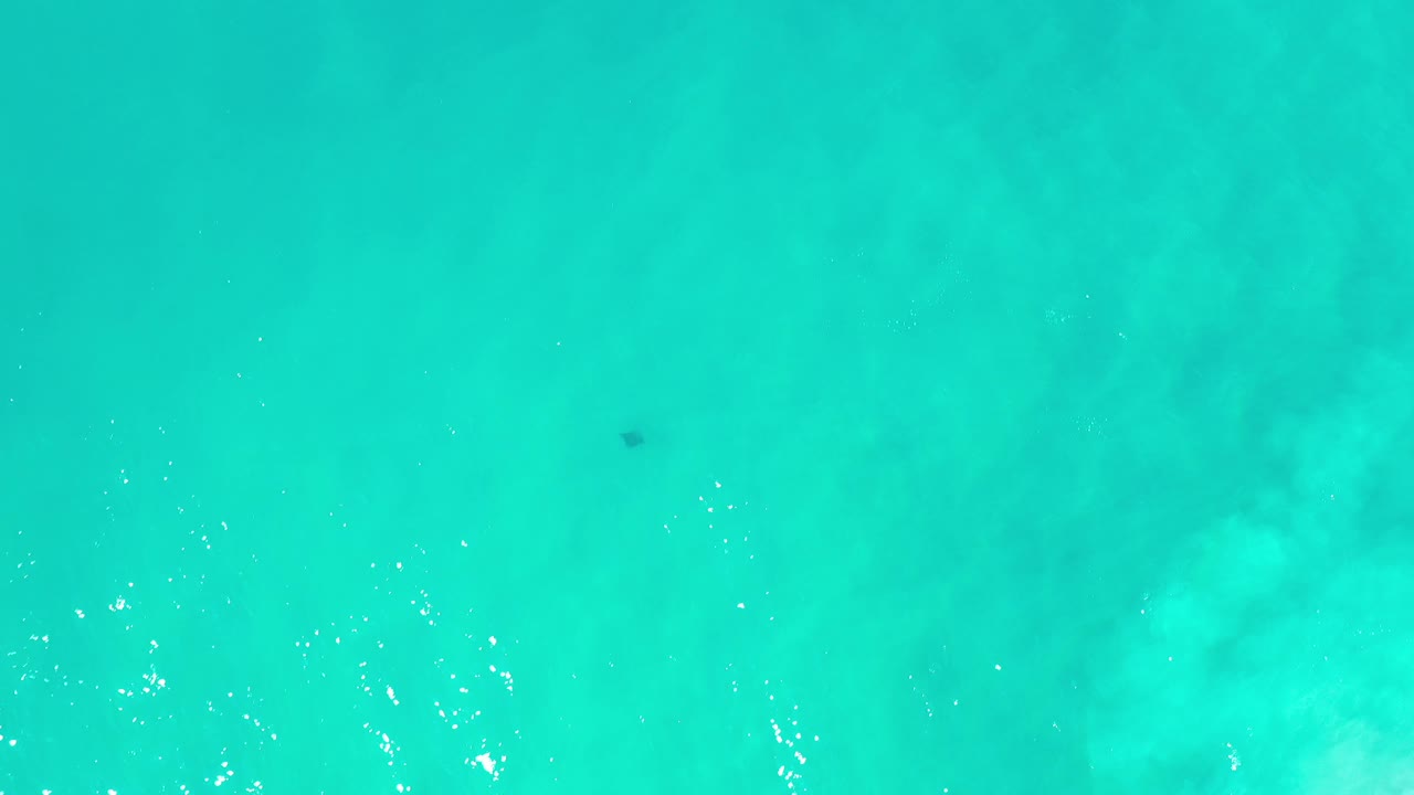 Tiny stingray shape in turquoise water