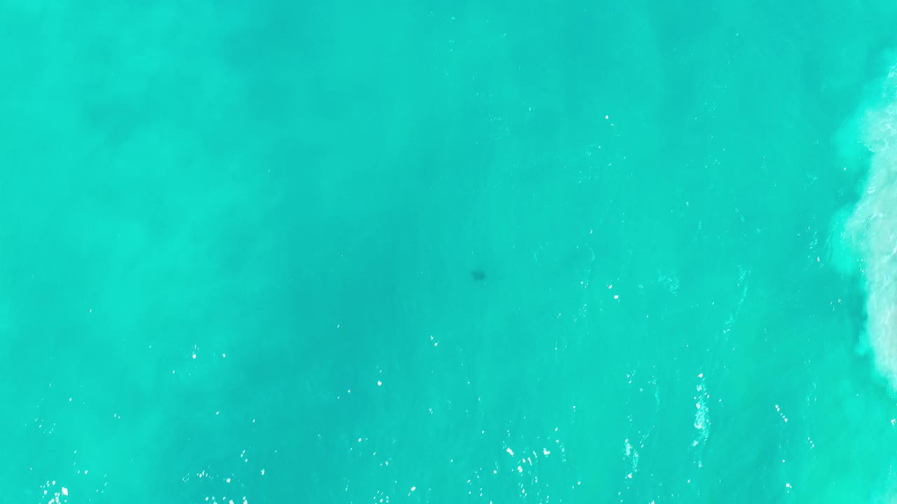 Aerial ocean water with white foam along the right side and turquoise shallows.