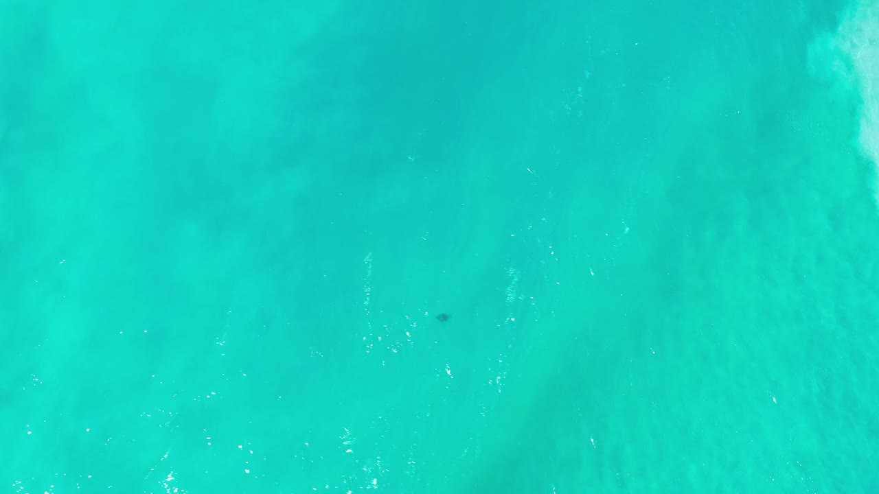 Top-down Los Cabos sea surface with a small dark underwater patch left of center, bright ripple flecks, and no visible people.