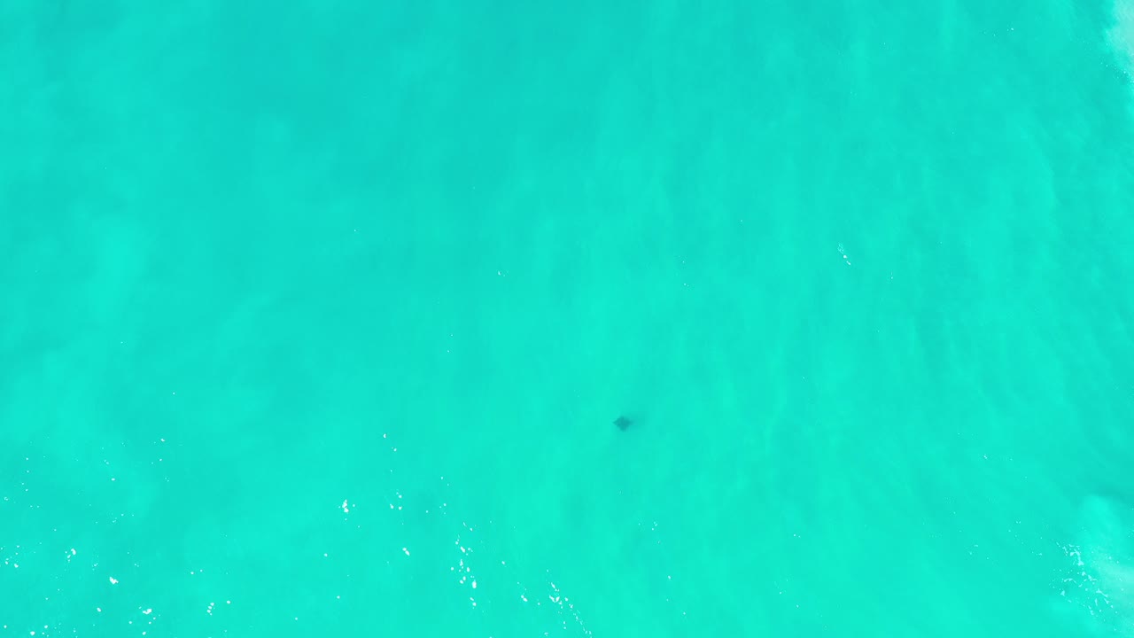 Overhead turquoise sea with faint pale underwater streaks.