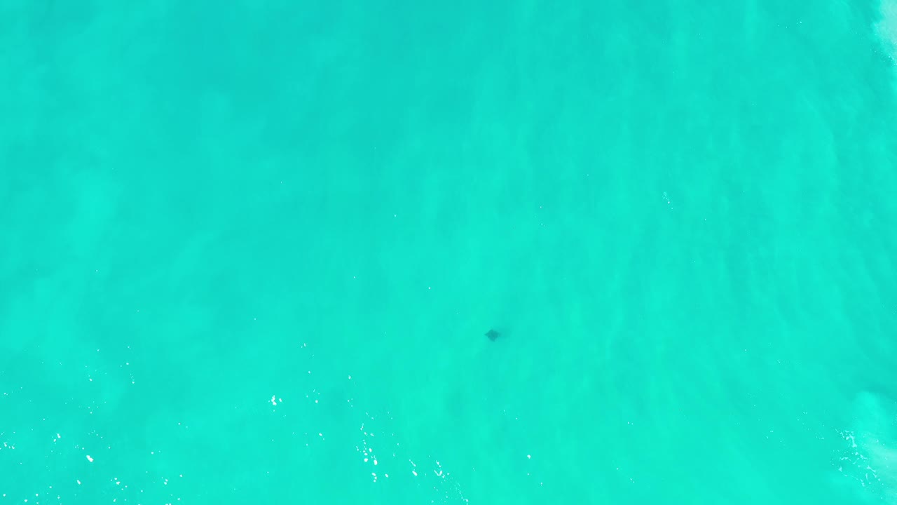 Overhead Los Cabos water frame with bright turquoise color, soft submerged patterns, a small dark speck, and no visible people.