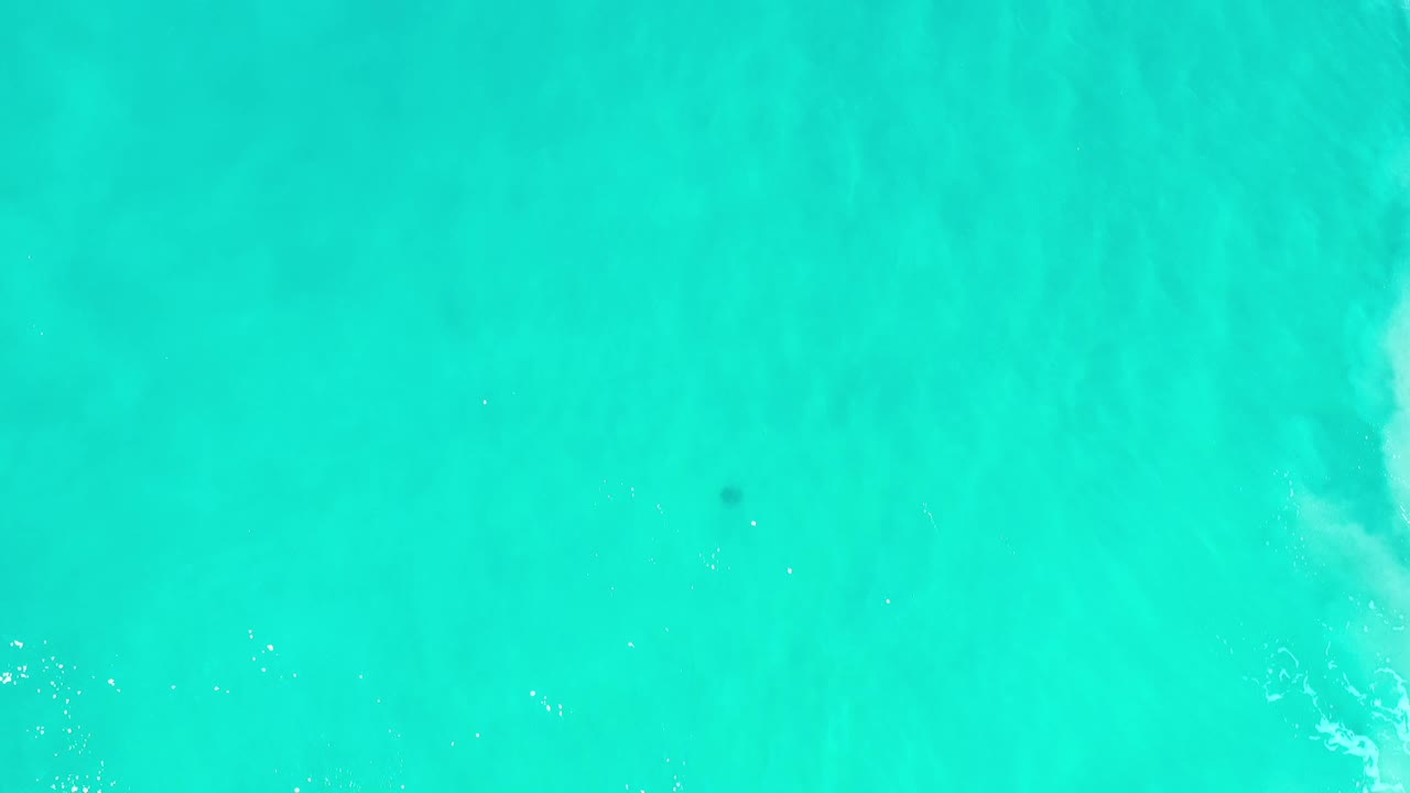 Aerial frame over Los Cabos turquoise ocean, showing soft water texture, a small dark speck, and no visible people or shoreline.