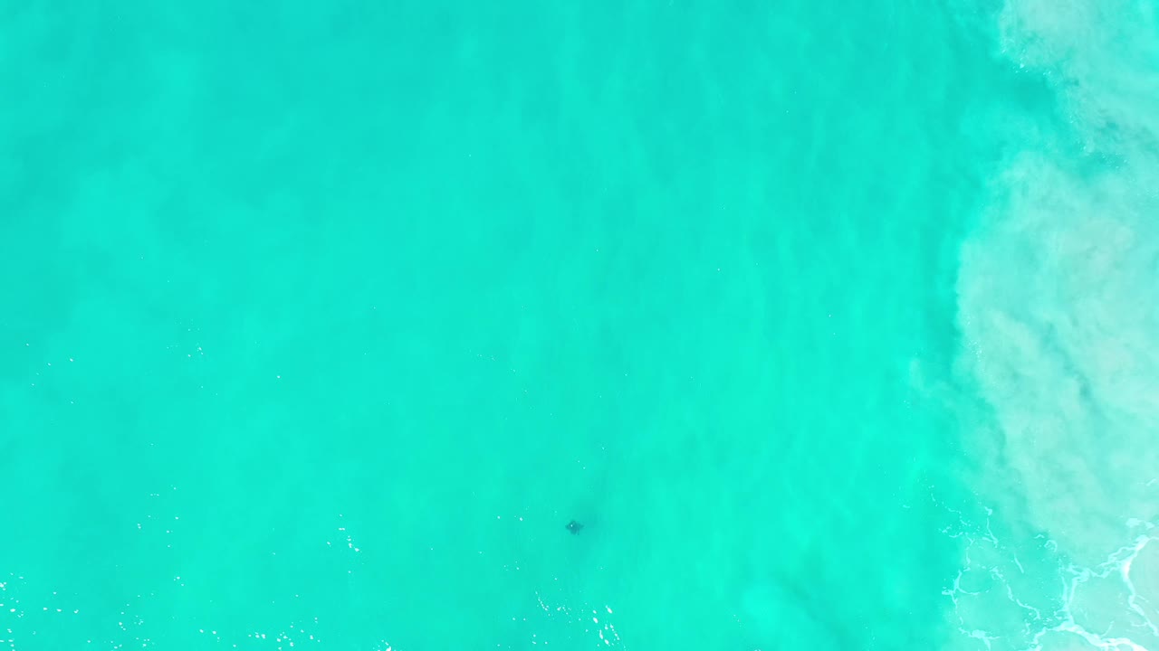Overhead turquoise-green ocean in Los Cabos with pale surf haze near the lower right edge and no visible people.