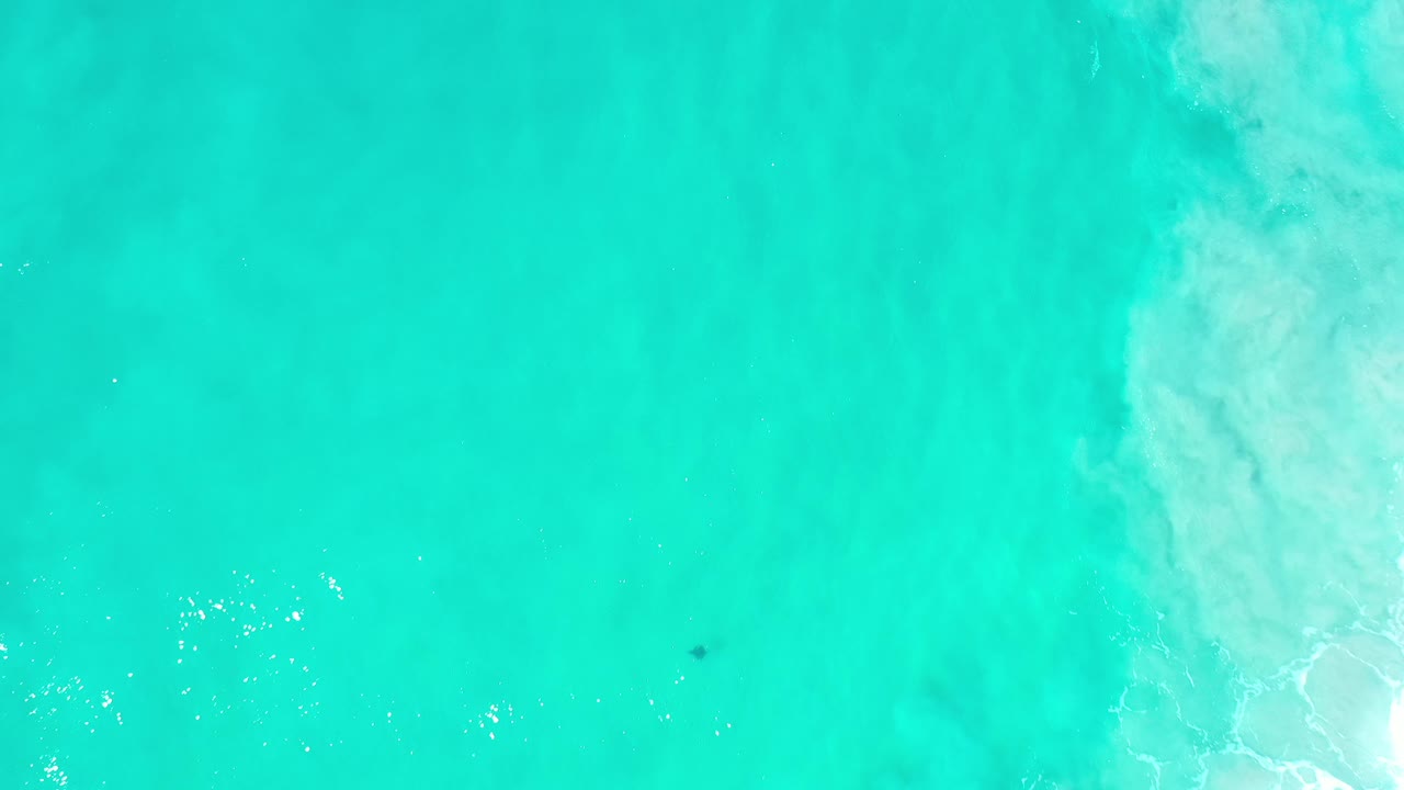 Aerial green water with foamy surf along the right edge.