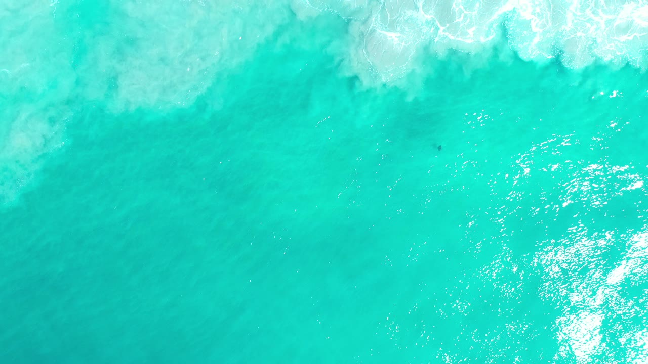 Green-blue sea surface with scattered white foam and sunlight.