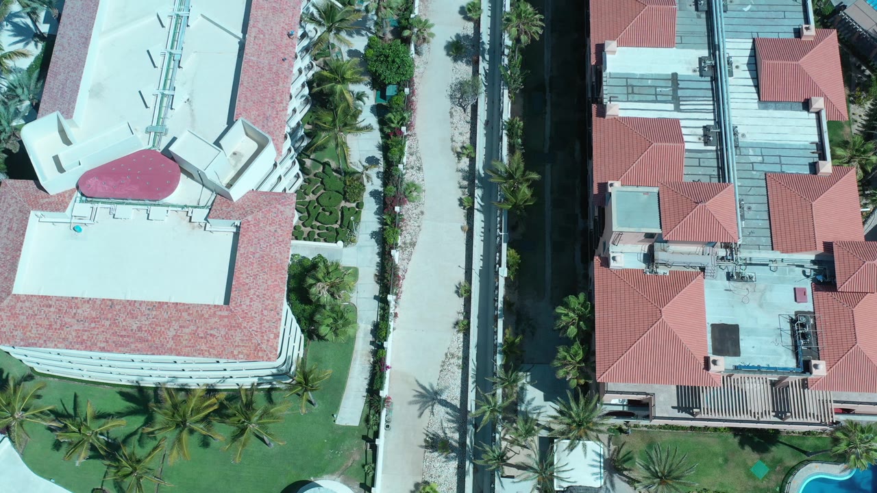 Los Cabos overhead frame with red-roofed structures on the right, a shaded road through the center, palms along the edge, and no visible people.