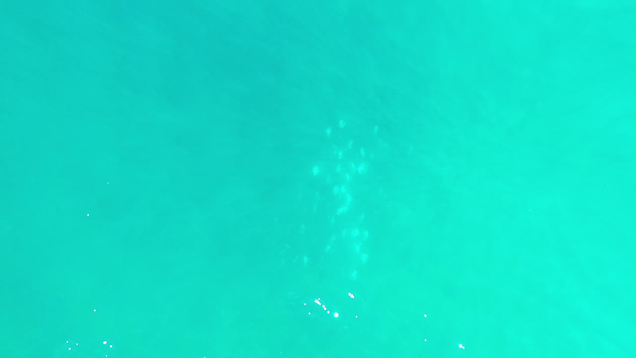 Opening underwater frame from Los Cabos, Mexico, showing green-blue sea water with small pale fish shapes and no visible people.