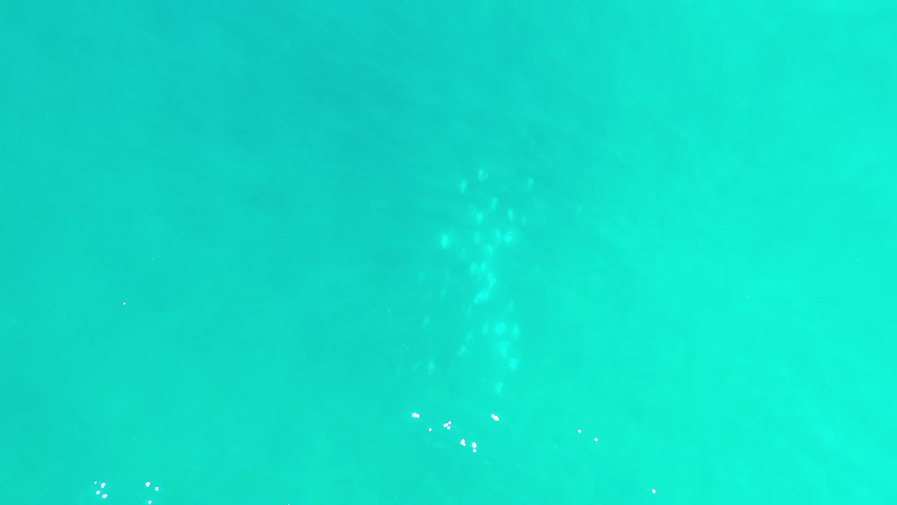 Clear Los Cabos sea water fills the frame, with tiny white fish marks clustered lightly through the center and no visible people.