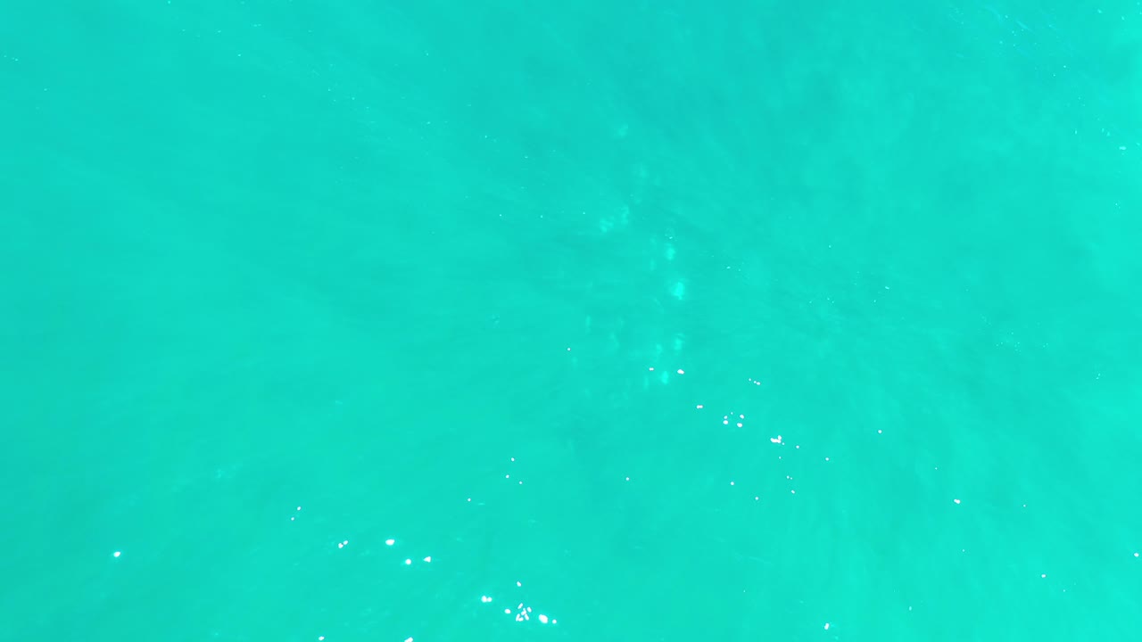 Teal water surface with faint ripples and glints.