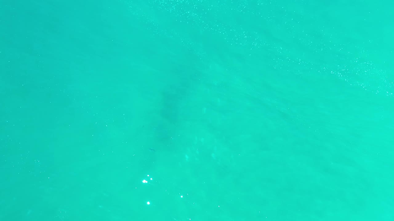 Clear green-turquoise water fills the frame in Los Cabos, Mexico, with small bright reflections and no visible people.