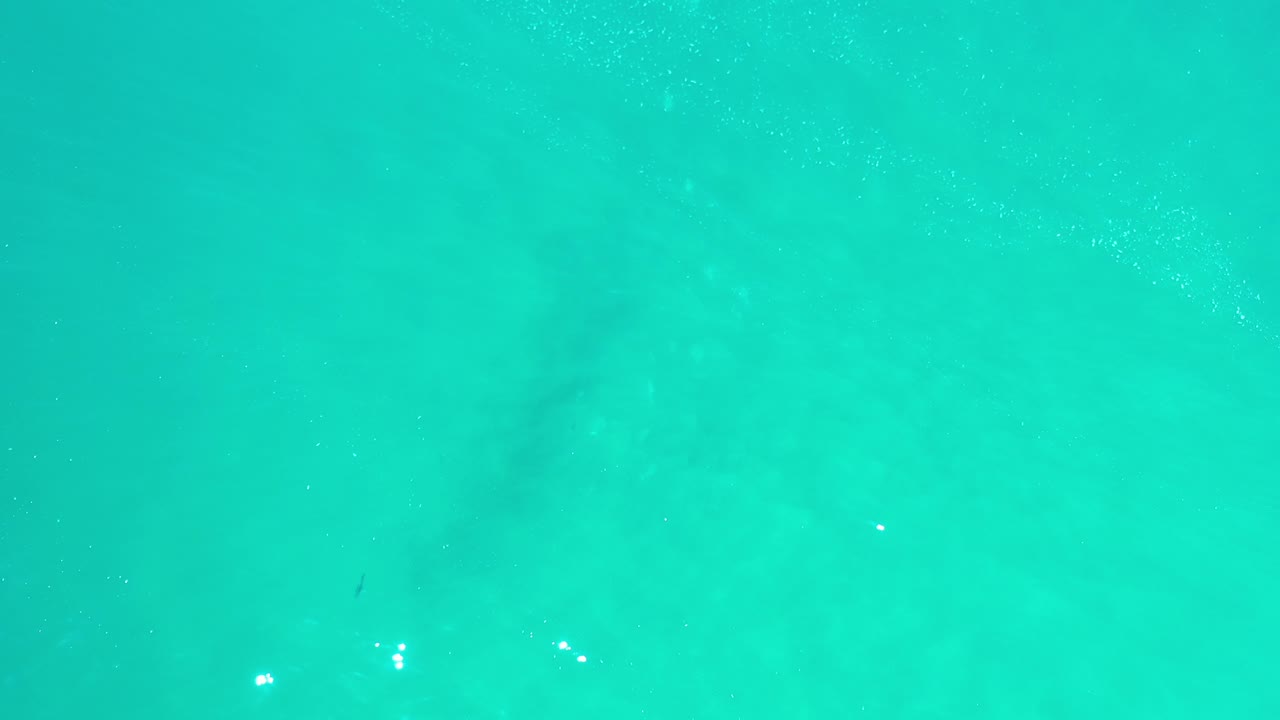 Turquoise seawater filling the frame with faint surface sparkle.