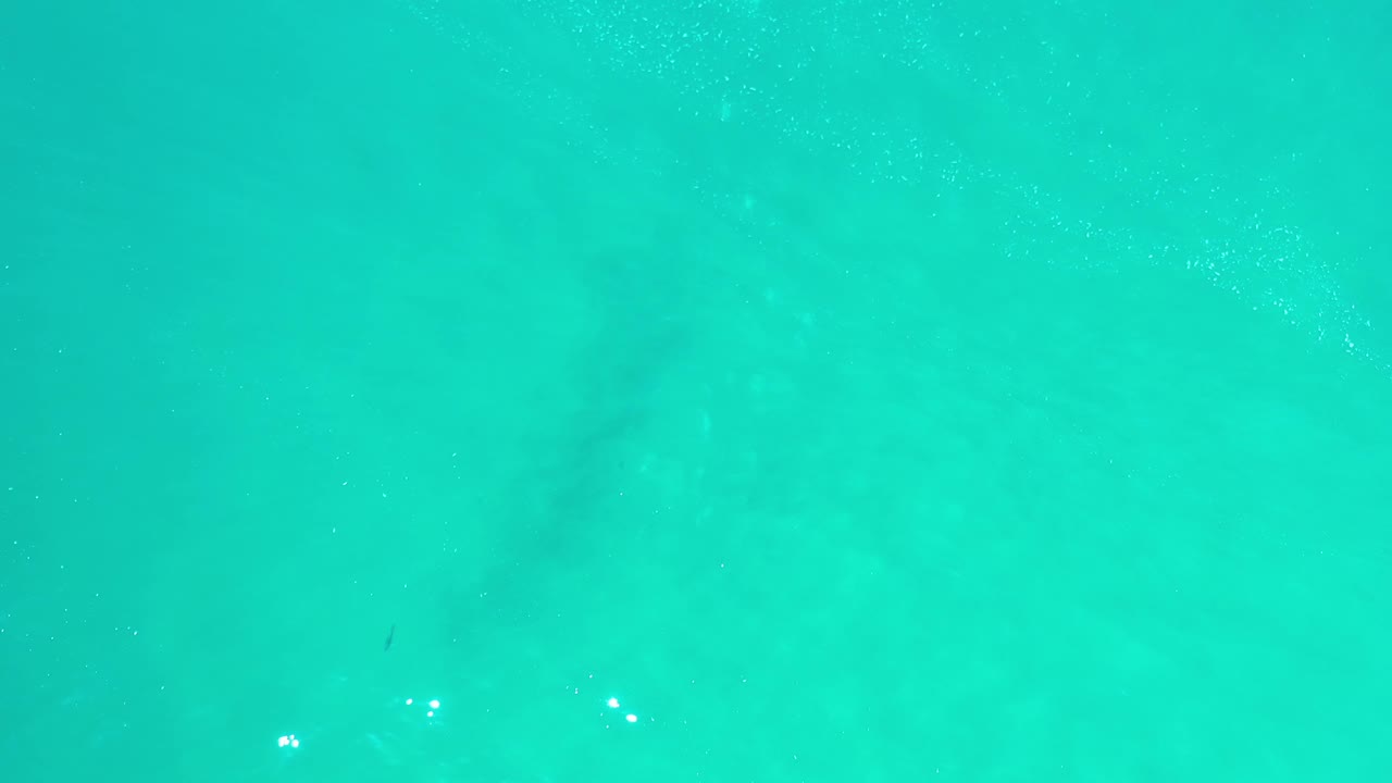 A broad field of clear turquoise water in Los Cabos shows scattered white glints near the surface, with no visible people or structures.