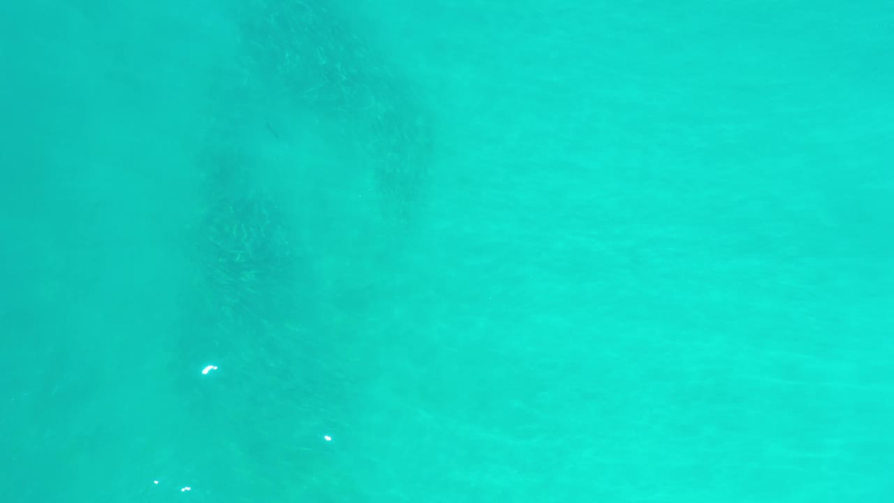 Overhead view of clear turquoise ocean water in Los Cabos, Mexico, with faint darker patches beneath the surface and no visible people.