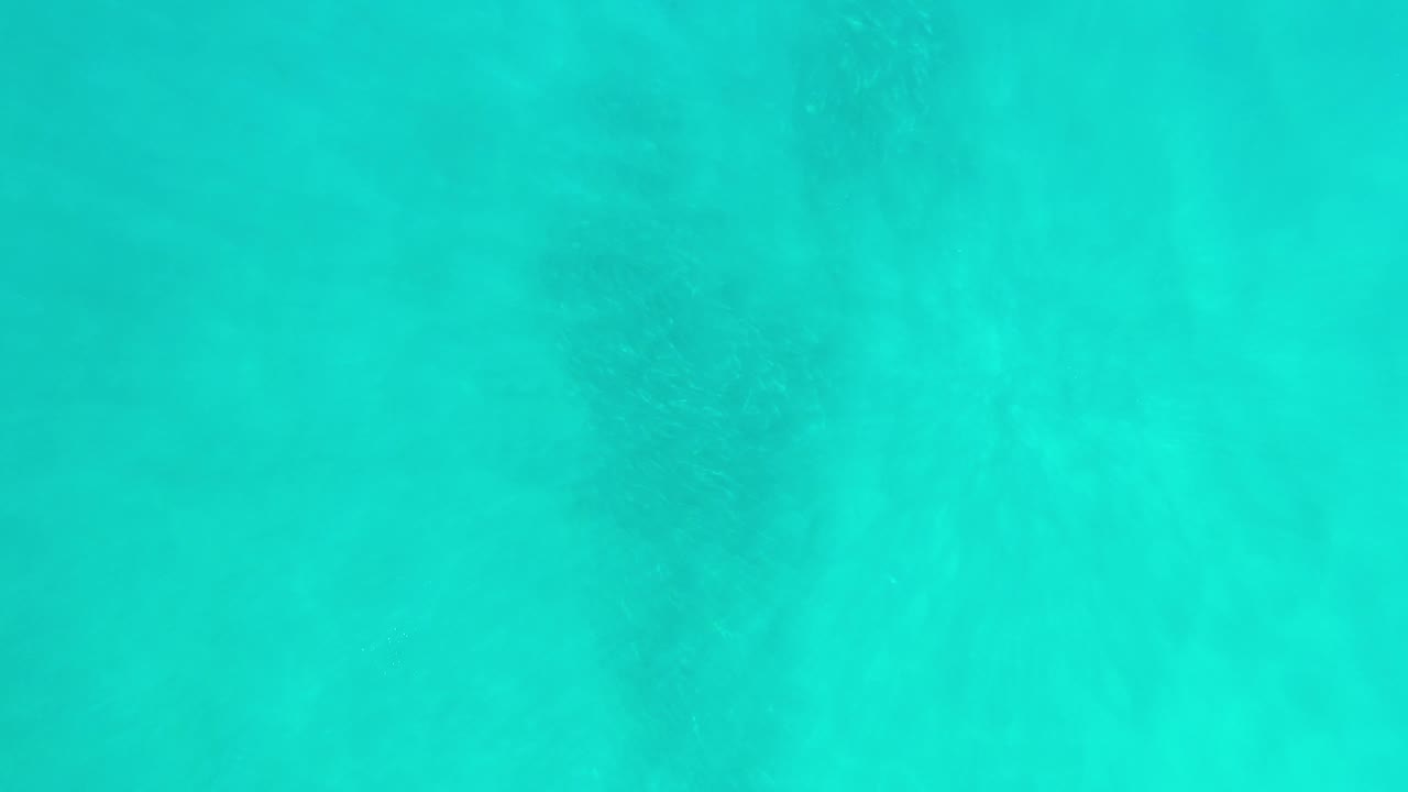 Blue-green sea fills the frame in Los Cabos, Mexico, with soft surface ripples and no visible people or shoreline.
