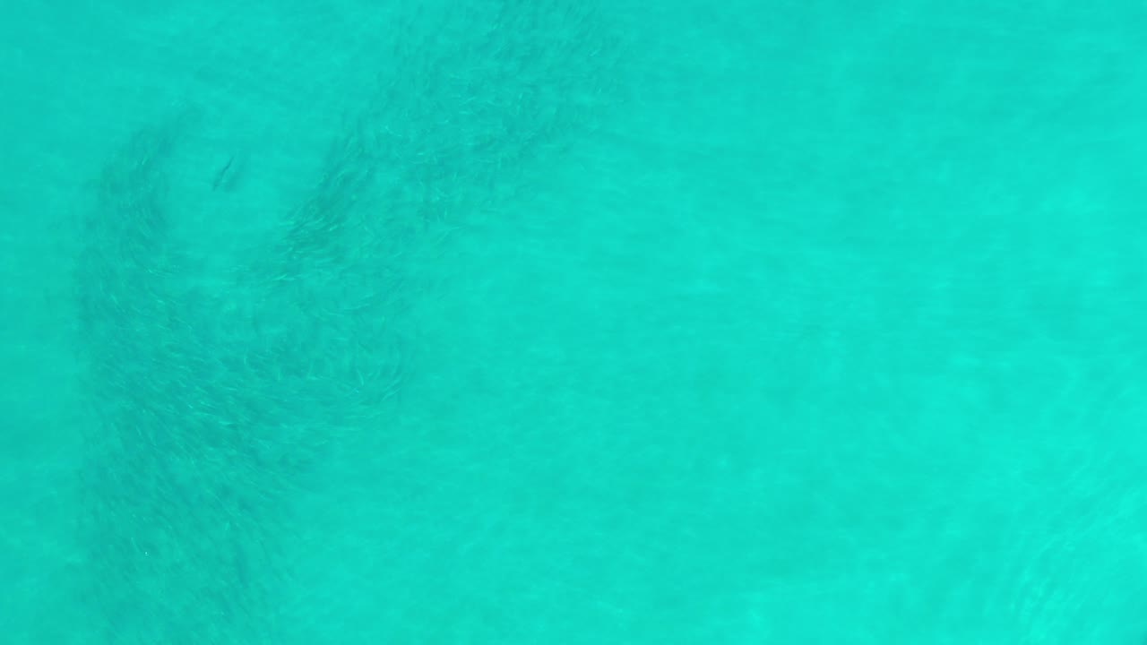 Turquoise water in Los Cabos fills the frame with faint submerged texture and no visible people.