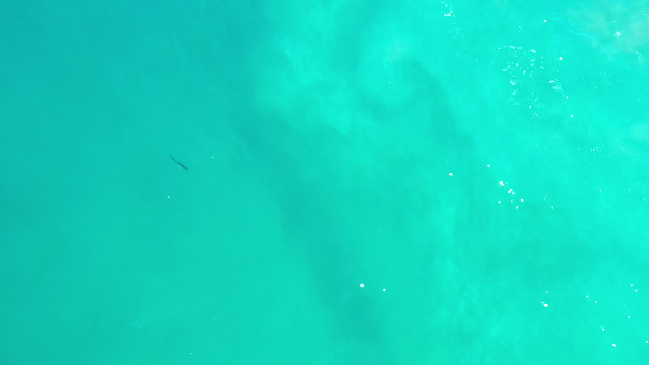 Turquoise water with a small dark fish shape near the upper left area.