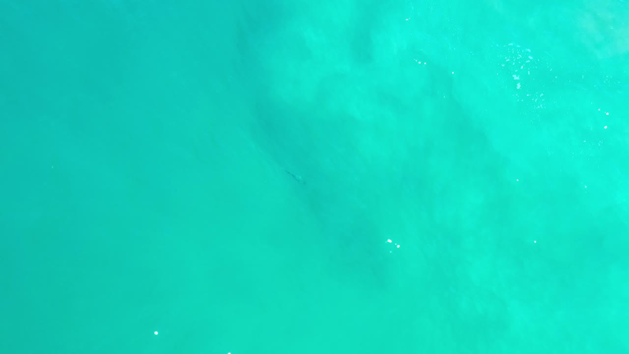 Overhead view of clear turquoise sea water in Los Cabos, Mexico, with faint underwater shapes and no visible people.