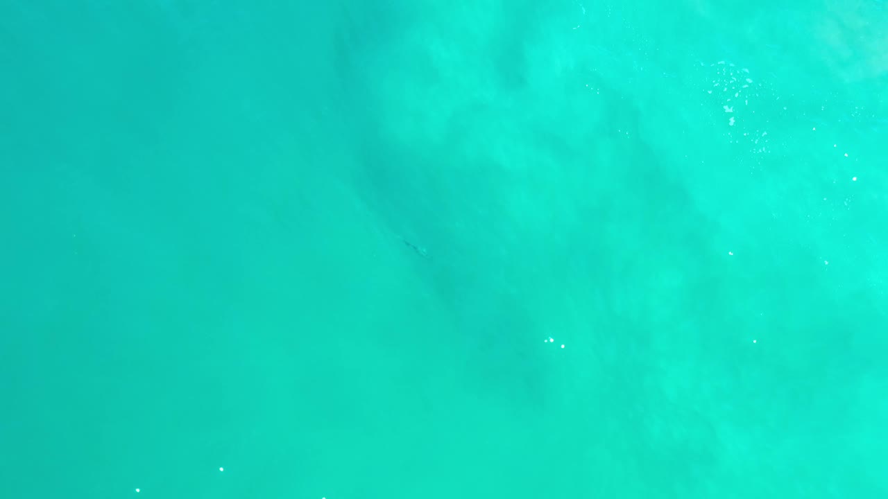 Clear blue-green sea water fills the frame in Los Cabos, Mexico, with soft pale patches below the surface and no visible people.