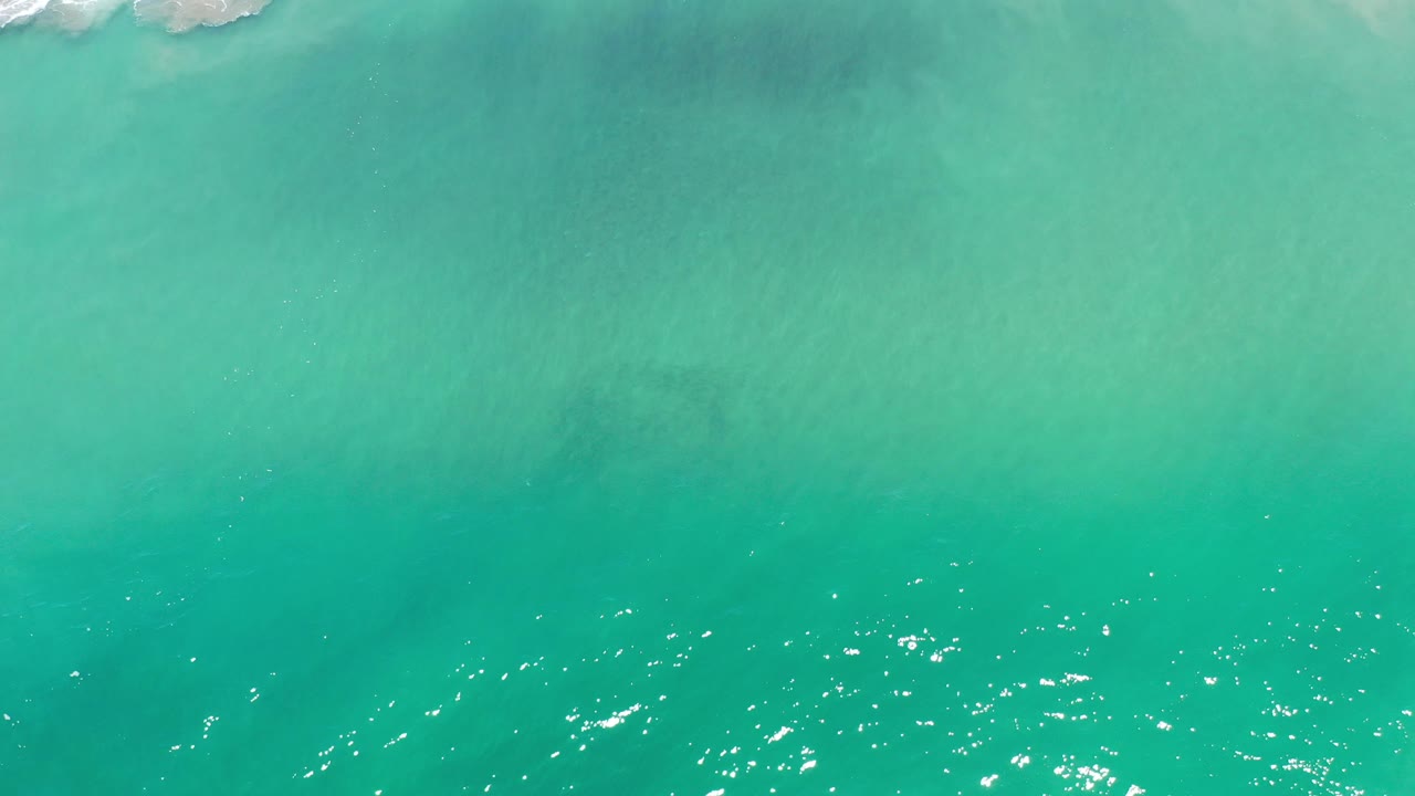 Top-down view of green ocean water in Los Cabos, Mexico, with a thin band of white surf along the upper edge and no visible people.