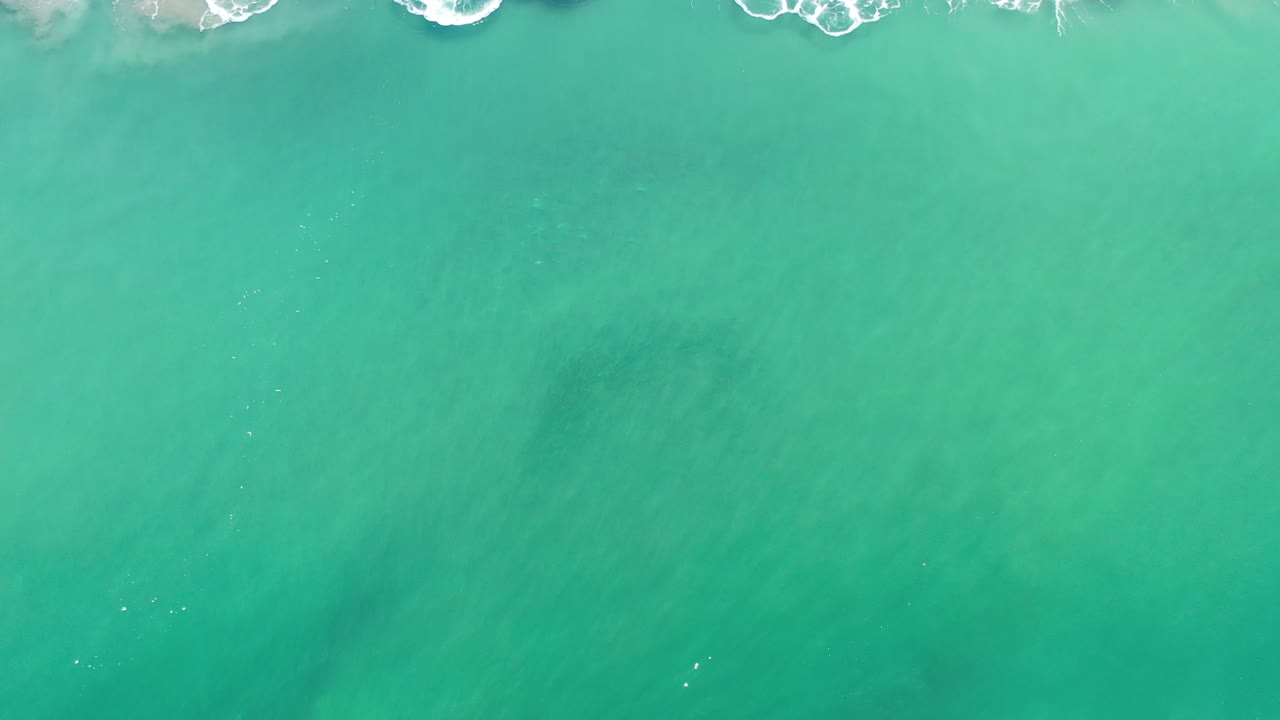 Open green sea with a small strip of white foam near the upper edge.