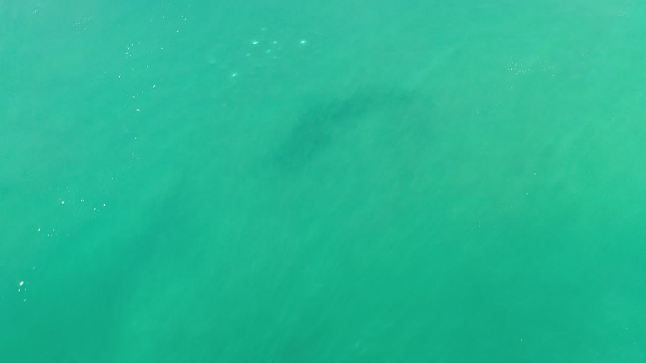 Overhead view of turquoise-green ocean water in Los Cabos, Mexico, with faint darker patches below the surface and no visible people.