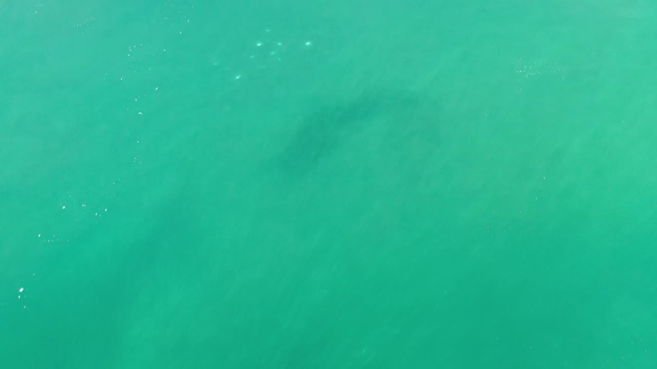 Top-down Los Cabos ocean frame showing green water, muted darker shapes under the surface, and no visible people.