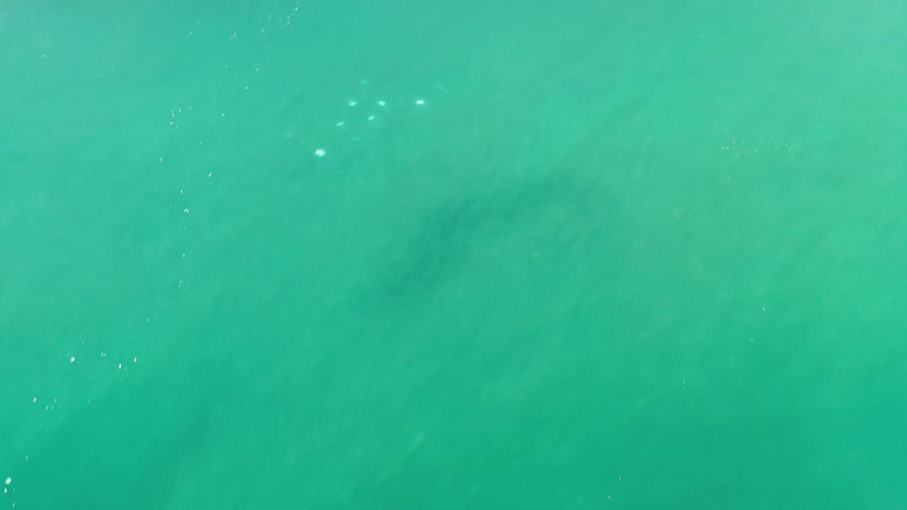 Aerial green seascape with small sunlight sparkles