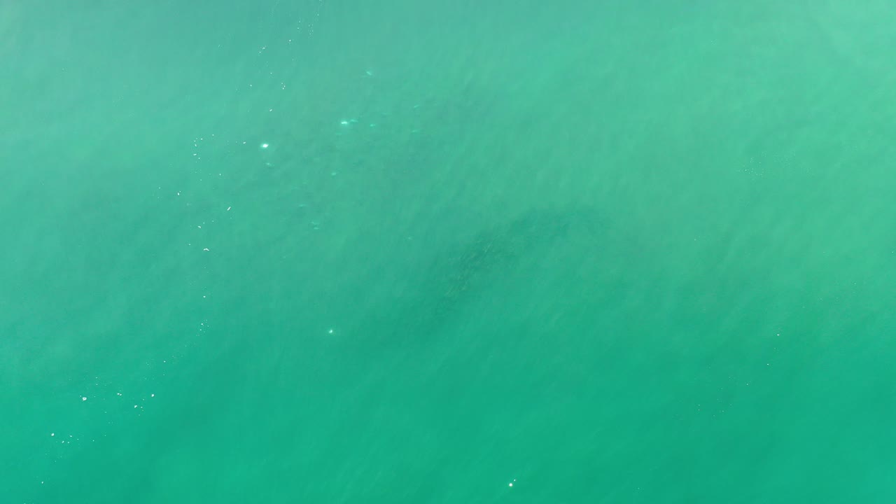 Overhead view of green ocean water in Los Cabos, Mexico, with soft surface texture, faint underwater shadows, and no visible people.