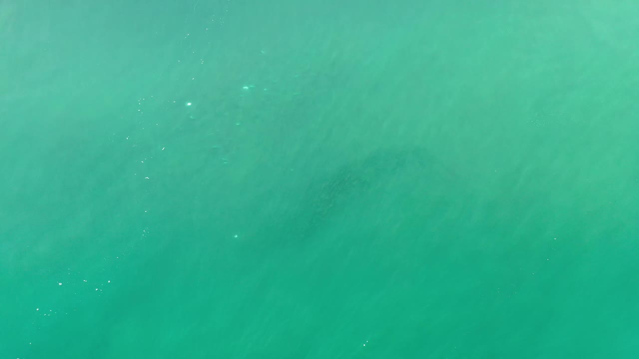 Overhead Los Cabos ocean frame showing green water, small white highlights on the surface, and indistinct darker patches below, with no visible people.