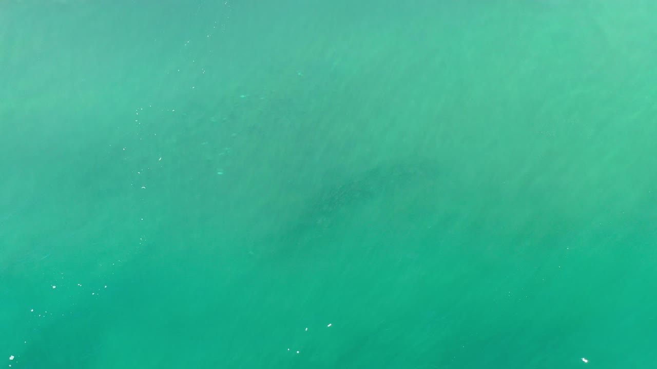 Open turquoise water with muted shadowing beneath the surface.