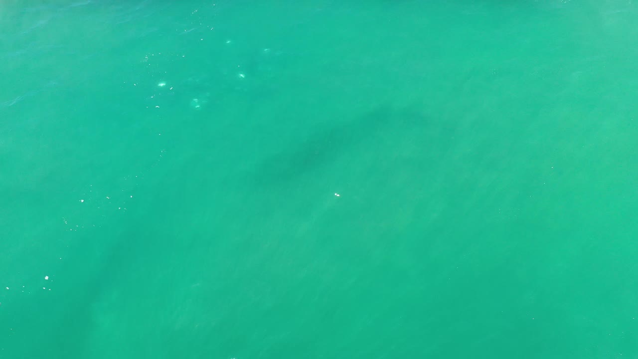 Bright green water with small sparkle highlights