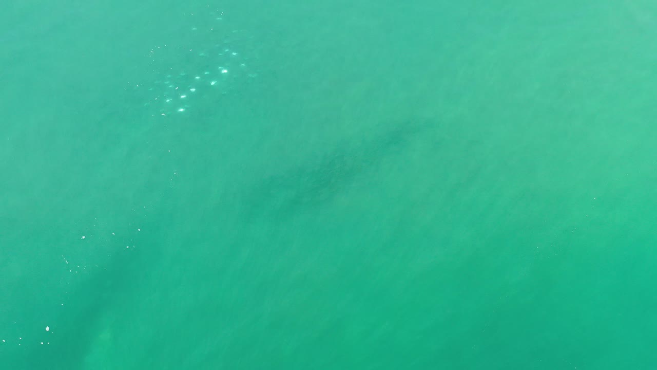 Top-down view of green sea with faint darker patches.