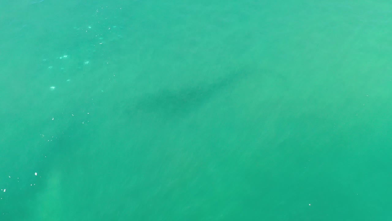 Overhead view of blue-green ocean in Los Cabos, Mexico, with faint submerged shadow bands and no visible people at the start of the clip.