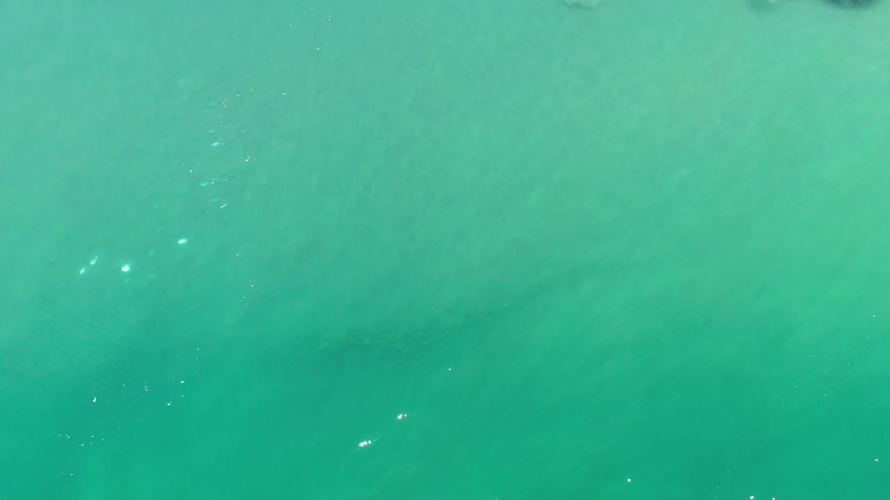 Overhead view of green ocean water in Los Cabos, Mexico, with faint surface ripples and no visible people.