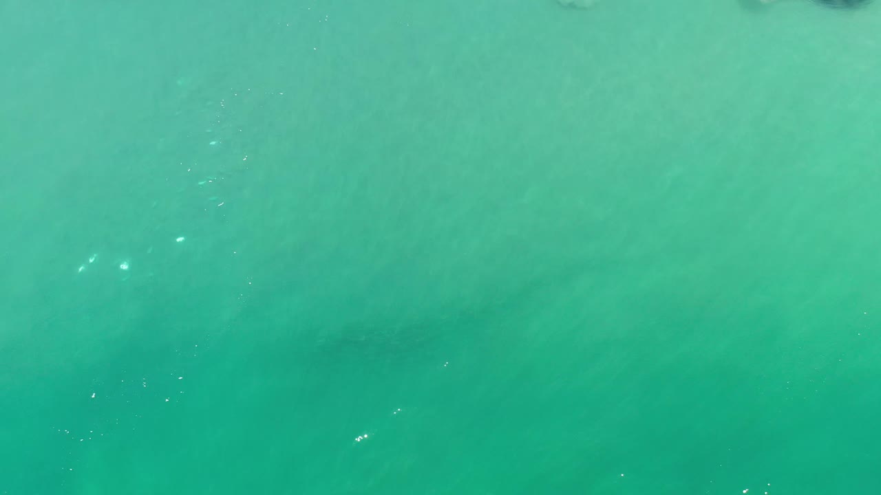 Aerial frame of Los Cabos green sea water with small sun glints scattered across the surface and no visible people.