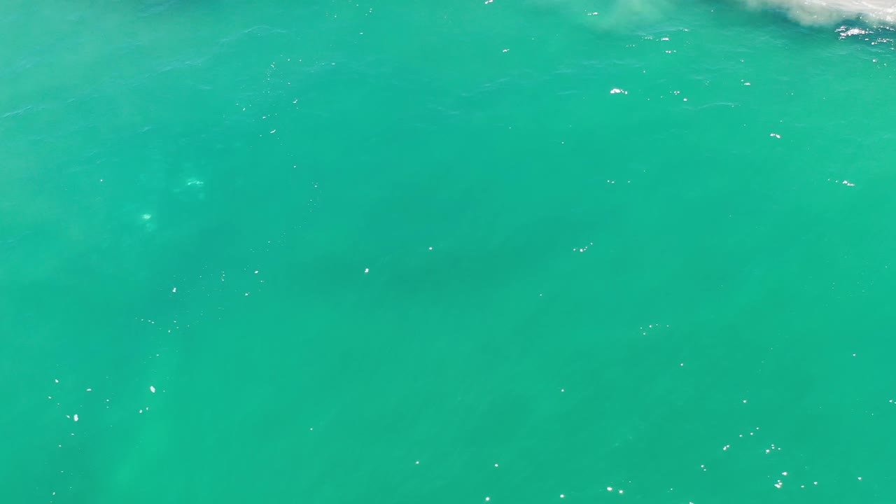 Bright green ocean water fills the frame near Los Cabos, Mexico, with a faint darker underwater shape left of center and no visible people.