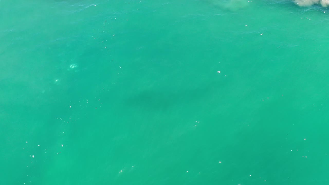 Aerial view of green sea with dark patches under the surface.
