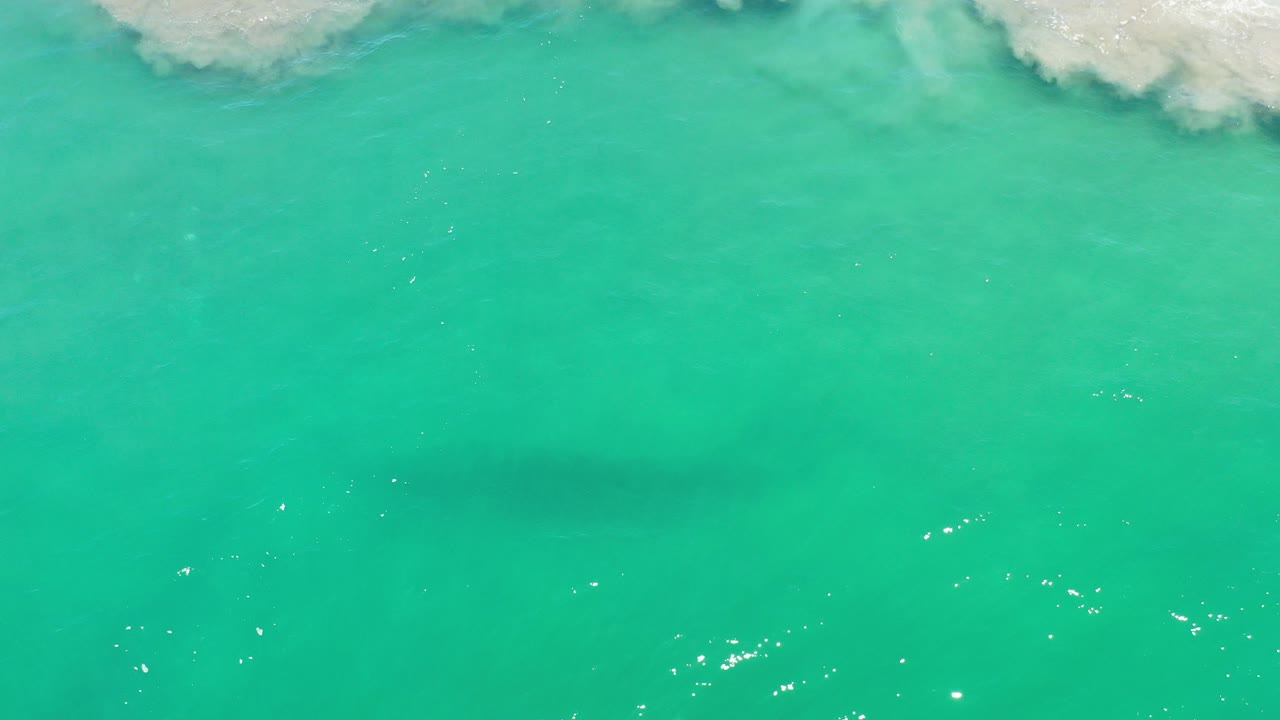 Turquoise ocean water with pale surf at the top edge.
