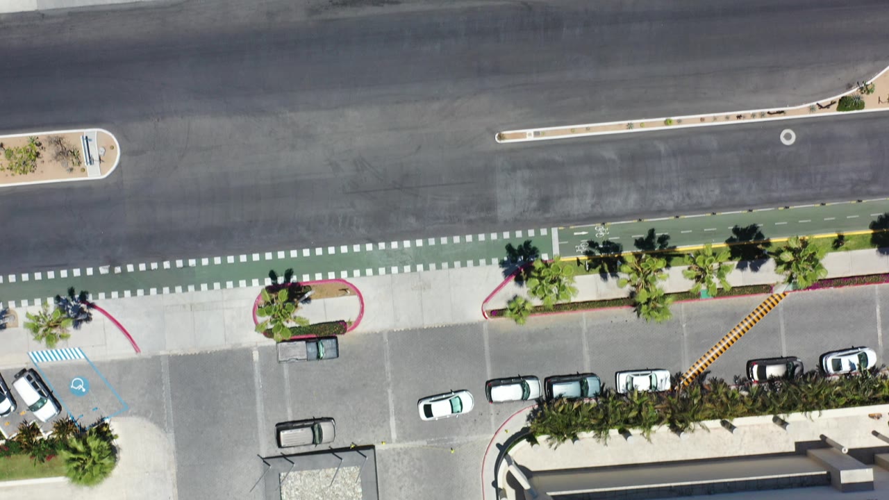 Straight-down aerial frame in Los Cabos, Mexico showing a wide paved road, green bike lane, sidewalks, palm shadows, parked cars, and no visible people.